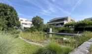 Titelbild - Attraktive 3.5-Zimmer Wohnung mit Terrasse, Schwimmteich und Einstellhallenplatz